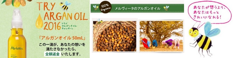 �I�[�K�j�b�N100���A���K���I�C�����T�C�g